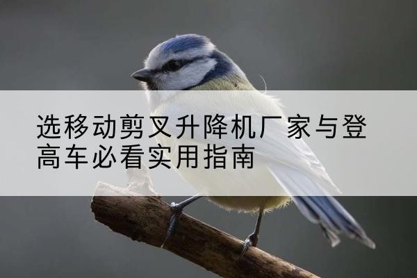 共青城电动升降机厂家-选移动剪叉升降机厂家与登高车必看实用指南