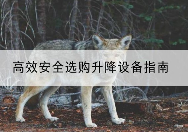 共青城升降货梯厂家推荐-*安全选购升降设备指南