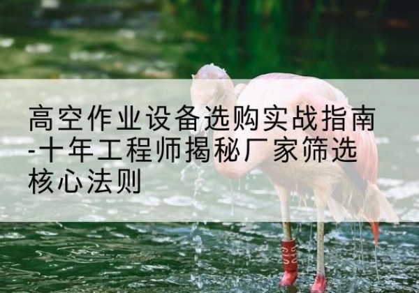 共青城剪叉式升降机厂家-高空作业设备选购实战指南-十年工程师揭秘厂家筛选核心法则
